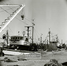 Ayamonte: puerto marítimo y mujeres trabajando en la industria pesquera  –  01