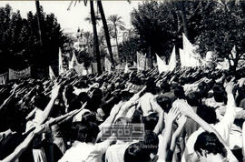 Manifestantes apoyando a Franco concentrados en la zona de Plaza Nueva y glorieta del Cid – 11