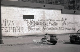 Pintadas – 01