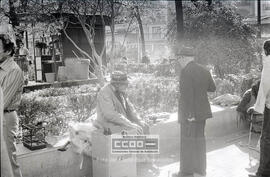 Hombre mayor en un banco en la plaza del Duque – 03