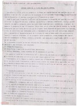 Circular del Comité Ejecutivo de la OCE (BR) sobre el IX Pleno del Comité Central