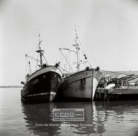 Marineros de Ayamonte en la lonja de pescado ( venta del pescado ) y en la fábrica de hielo – 19