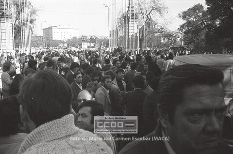 Open original Objecte digital