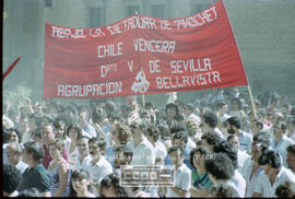 Manifestación de apoyo al pueblo chileno