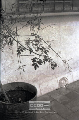 Luis Uruñuela – 06