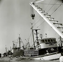 Ayamonte: puerto marítimo y mujeres trabajando en la industria pesquera  –  06