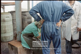 Movilización en TEPESA por despidos de trabajadoras