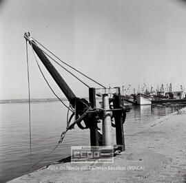 Marineros de Ayamonte en la lonja de pescado ( venta del pescado ) y en la fábrica de hielo – 17