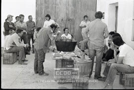 Segundas Jornadas Rojas del Campo: recogida de Algodón y elecciones sindicales