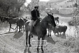 Segundas Jornadas Rojas del Campo: recogida de Algodón y elecciones sindicales