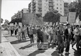Manifestación en Sevilla de trabajadores en huelga de la empresa MASS (Alcalá) – 14