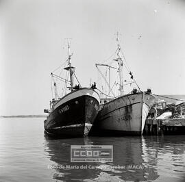 Marineros de Ayamonte en la lonja de pescado ( venta del pescado ) y en la fábrica de hielo – 20