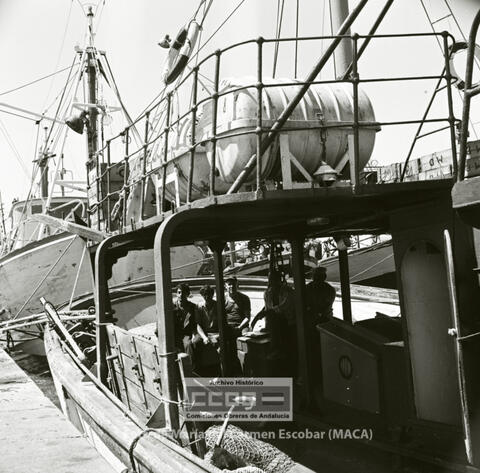 Open original Digital object