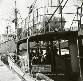 Ayamonte: puerto marítimo y mujeres trabajando en la industria pesquera  –  04