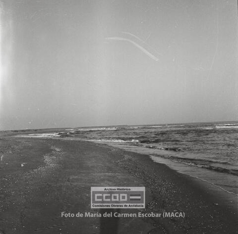 Open original Objecte digital