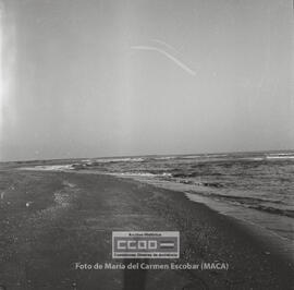 Escenas de vida cotidinana en la Punta del Moral  –  06