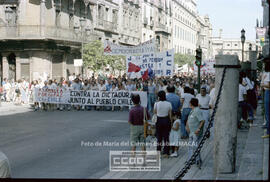 Manifestación de apoyo al pueblo chileno
