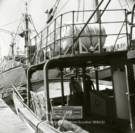 Ayamonte: puerto marítimo y mujeres trabajando en la industria pesquera  –  05