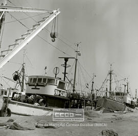 Ayamonte: puerto marítimo y mujeres trabajando en la industria pesquera  –  03
