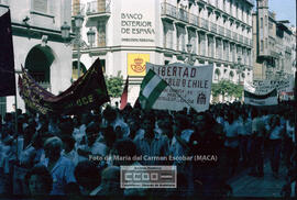 Manifestación de apoyo al pueblo chileno