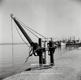 Marineros de Ayamonte en la lonja de pescado ( venta del pescado ) y en la fábrica de hielo – 18