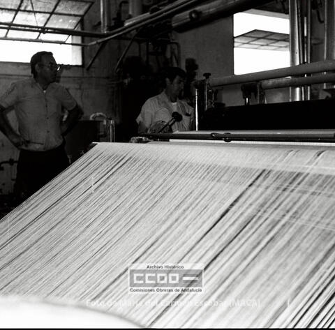 Open original Objecte digital