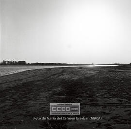 Escenas de vida cotidinana en la Punta del Moral  –  07