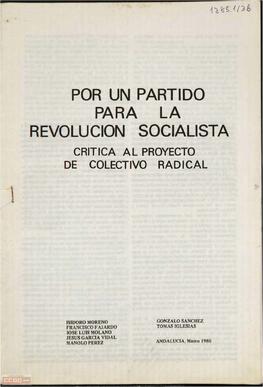 “Por un partido para la revolución socialista: crítica al proyecto de colectivo radical”. Informe presentado por Isidoro Morenos y otros.