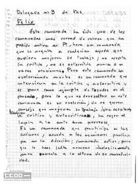 Informe sobre Félix, delegado nº 3 de Kas.