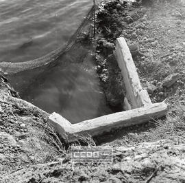 Escenas de vida cotidinana en la Punta del Moral  –  03