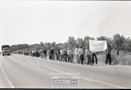 Manifestación pidiendo trabajo – Foto 3