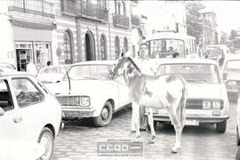 Escenas de vida cotidiana – Foto 2