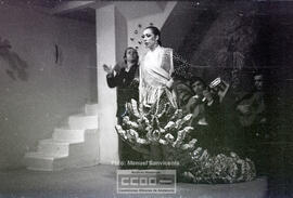Espectaculo flamenco – Foto 11