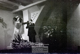 Espectaculo flamenco – Foto 28
