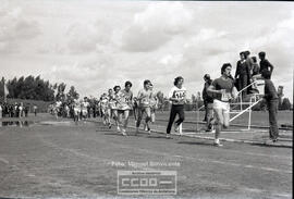 Atletismo – Foto 16