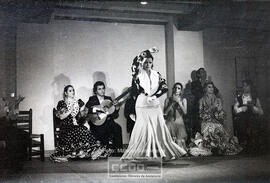 Espectaculo flamenco – Foto 22