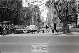 Perros callejeros – Foto 5