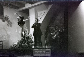 Espectaculo flamenco – Foto 13