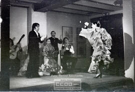 Espectaculo flamenco – Foto 6