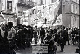 Manifestación por la Autonomía 1979 (4) – Foto 8