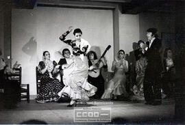 Espectaculo flamenco – Foto 35