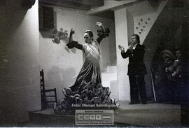 Espectaculo flamenco – Foto 34