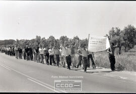 Manifestación pidiendo trabajo – Foto 4