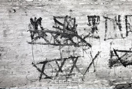 Pintadas – Foto 7