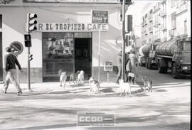 Vida cotidiana en Sevilla – Foto 1