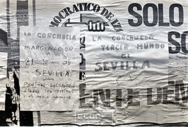Protesta de vecinos de La Corchuela por calle Sierpes – Foto 7