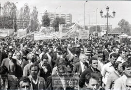 Manifestación remolacheros – Foto 27