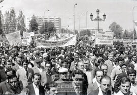 Manifestación remolacheros – Foto 30