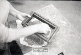 Fabricación de peinas – Foto 48