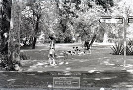 Imágenes de Sevilla – Foto 6